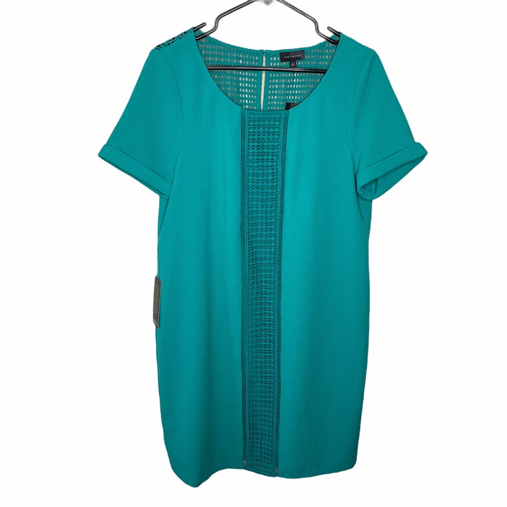 The Limited Dress